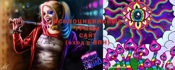 крисы Краснотурьинск