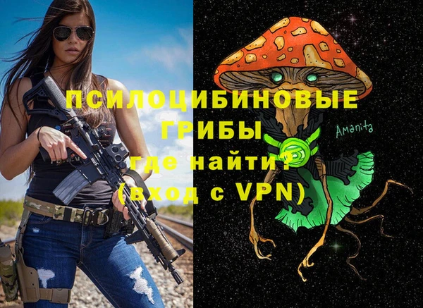 крисы Краснотурьинск