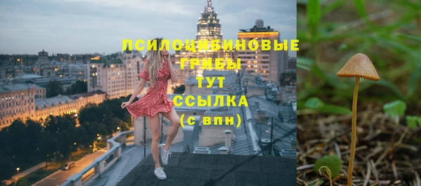 крисы Краснотурьинск