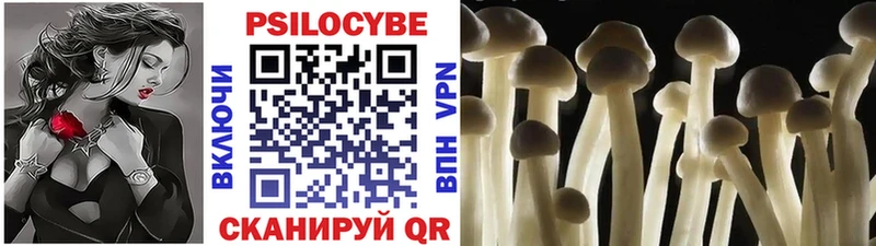 Галлюциногенные грибы мицелий  Талдом 